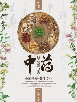 每天一味中藥-百合